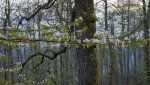 04 DSC00156.jpg
