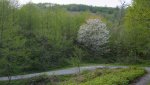05 DSC00160.jpg