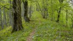 08 DSC00143.jpg