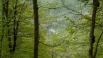 11 DSC00117.jpg