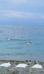IMG_20260919_130356.jpg