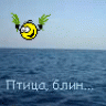 ТатулЯ