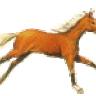 САМИРА