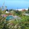 kminas
