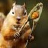 SquirreL2308