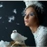 DOVE